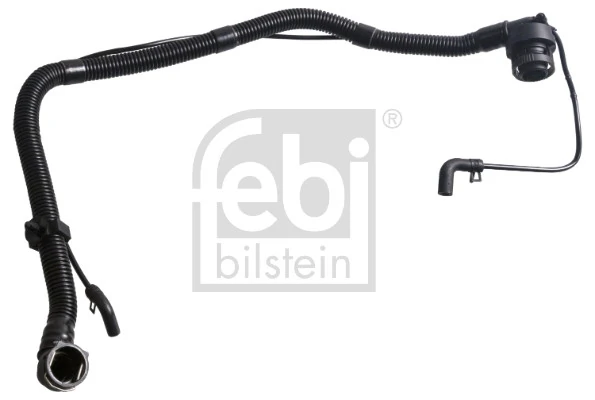 Hose, crankcase ventilation